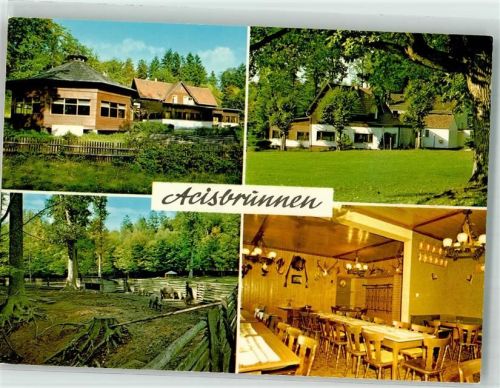Schlüchtern Waldgasthaus Acisbrunnen Wildschweine