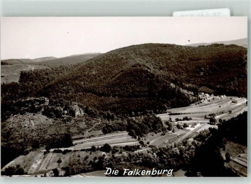 76848 W6741 Wilgartswiesen FOTO KEINE AK Die Falkenburg Ort handschriftlich Foto Original aus Archiv eines Ansichtskartenverlags