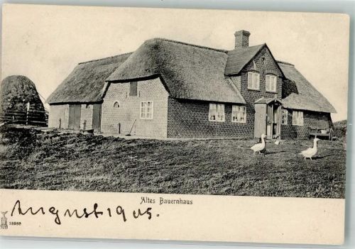 1905 Gänse