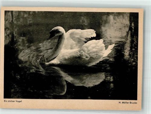 Flechsing Bildkalender