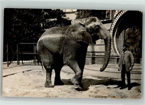 Tiergarten Zoo