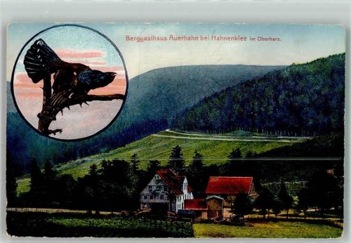 Auerhahn Berggasthaus Zum Auerhahn Verlag Louis Glaser Nr. 3173