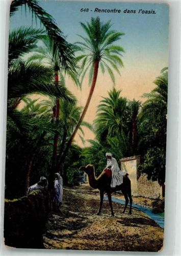 1917 Nr. 648 Rencontre dans Oasis Kamel Edition Lehnert & Landrock