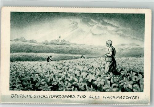 Stickstoff für alle Hackfrüchte
