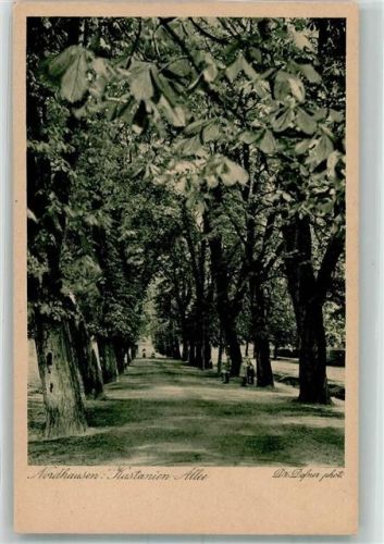 Nordhausen Foto Dr. Dofner Kastanienallee