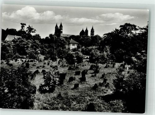 Worms Ältester Judenfriedhof Europas mit dem Dom Fotograf Curt Füller
