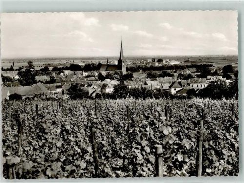 Deidesheim FOTO AK