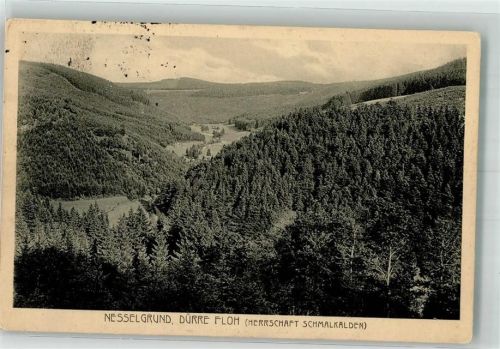 98593 O6084 Floh-Seligenthal 1914 - Nesselgrund mit Dürre Floh Fotograf Franz Stitz No. 74