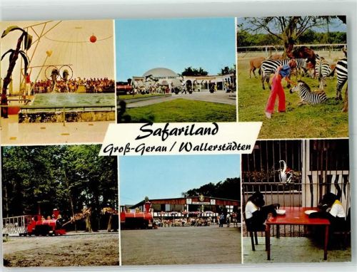 Wallerstädten Freizeitpark Safariland Delphine Zebras Kleinbahn Schimpansen Fotograf Thomaidis