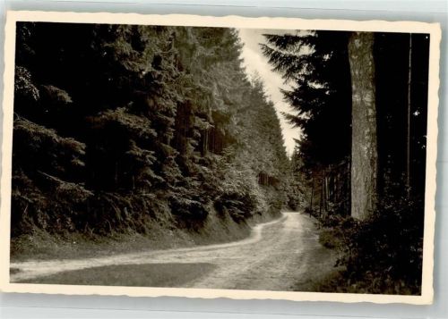 Pönitz Waldweg am Pönitzer See