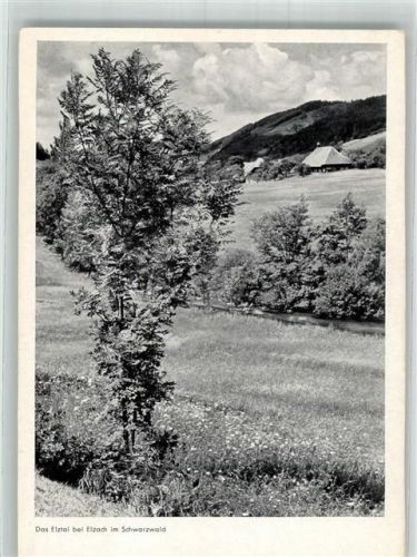 Elzach Elztal
