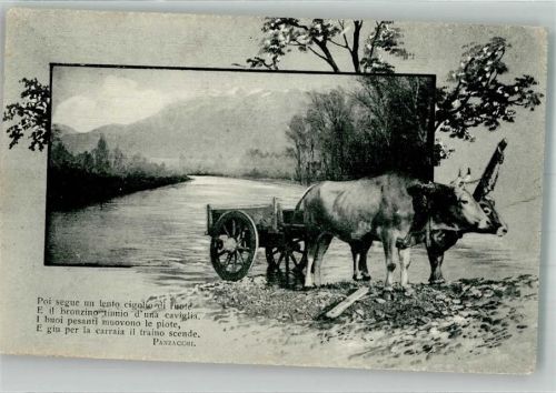 1916 K. u. K. Fassung