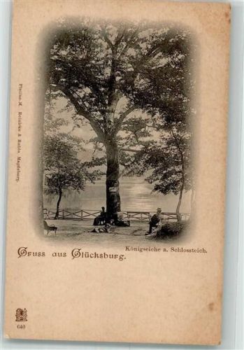 Glücksburg Schlossteich Königseiche