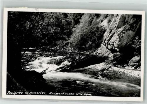 Saulgrub Im Ammertal Stromschnellen bei Scheibum