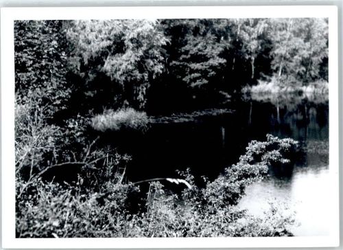 Basbeck Teichpartie, Fotoabzug
