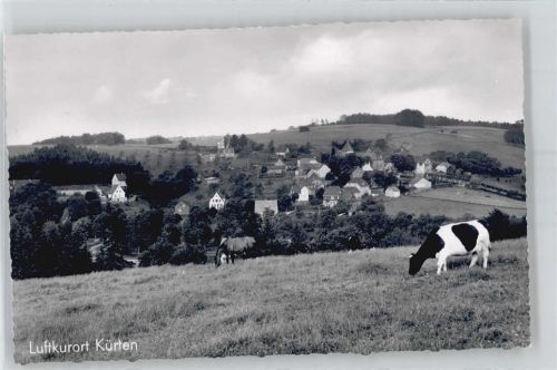 51515 W5067 Kürten - Kuh