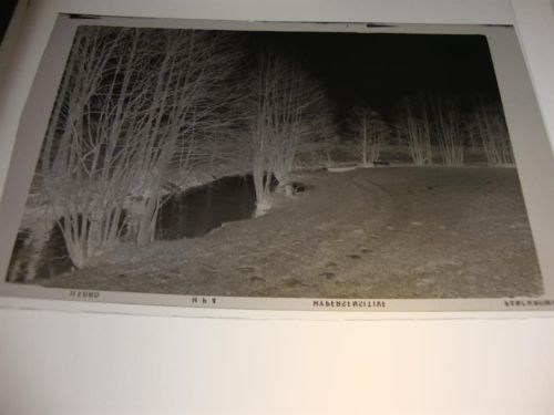 Salzhausen Negativ