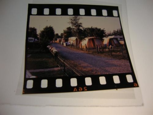 Berne Camping, Dia