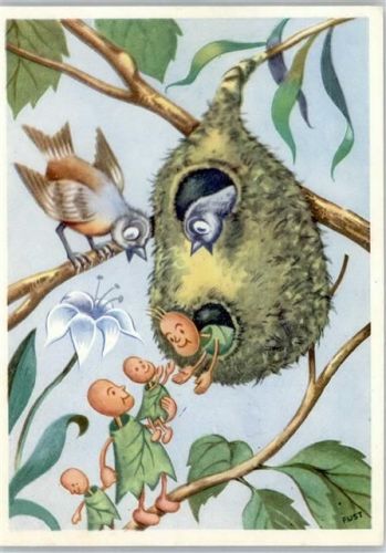Fust, Rudolf , Blütenbilder