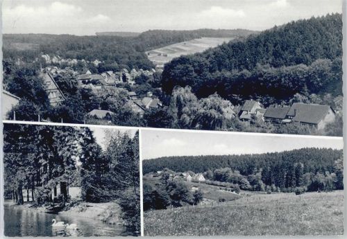 Grünenplan