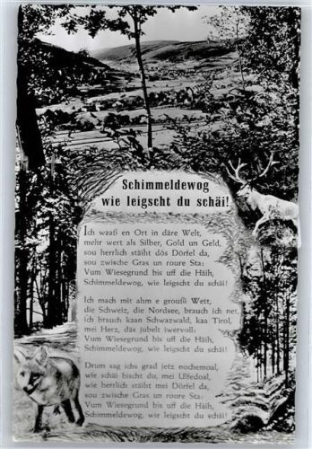 Ober-Schönmattenwag Teilansicht, "Schimmeldewog wie leigscht du schäi"