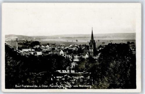 Bad Freienwalde Weinberg