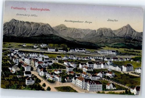 Freilassing Blick auf die Stadt mit Gebirgspanorama, Salzburghofen