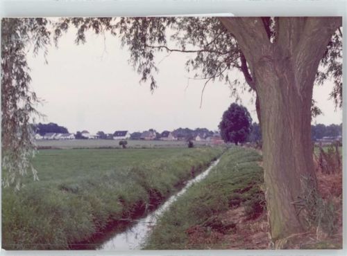 Rosche Fotoabzug