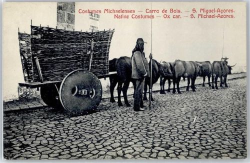 San Miguel de Abona Ochsenkarren