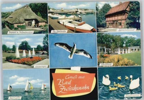 Bad Zwischenahn Im Bootshafen, Spiekerwirtschaft, Wandelhalle, Schwan, Segelregatta, Kuranlagen, Dwersack im Freilandmuseum, Möwe