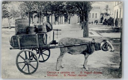 San Miguel de Abona Ortsansicht