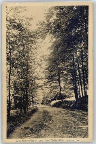 Burbach Die Rothenbach und ihre Seitentäler, Buchhellertal