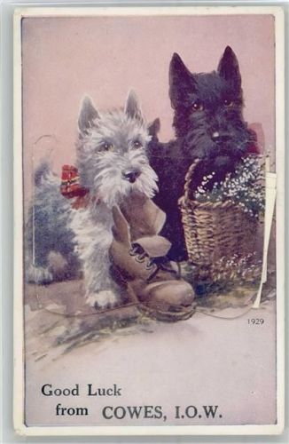 East Cowes Leporello, Hund