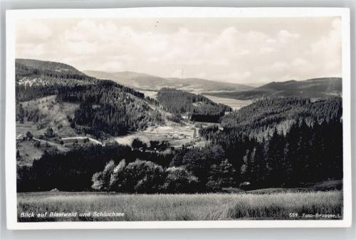 Blasiwald Schluchsee