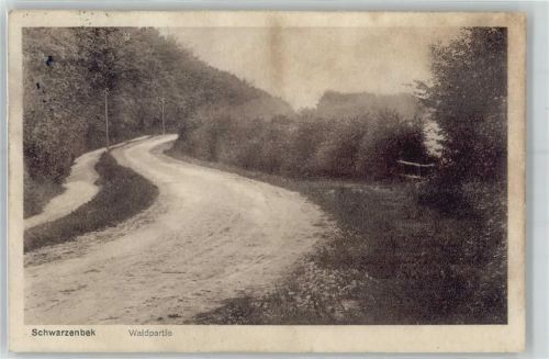 Schwarzenbek Waldpartie