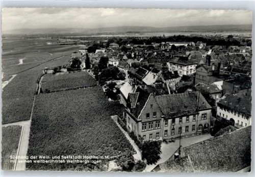 Hochheim Südhang mit seinen weltberühmten Weinbergslagen