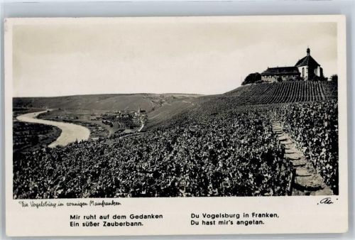 Weinberge, Weingut Vogelsburg