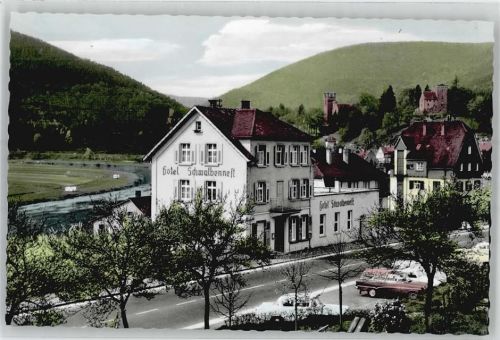 Neckarsteinach Hotel Schwalbennest