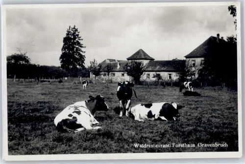 Gravenbruch Waldrestaurant Forsthaus , Kuhweide