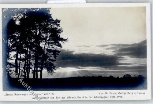 Zwingenberg Ernste Stimmung Dr. Sauer