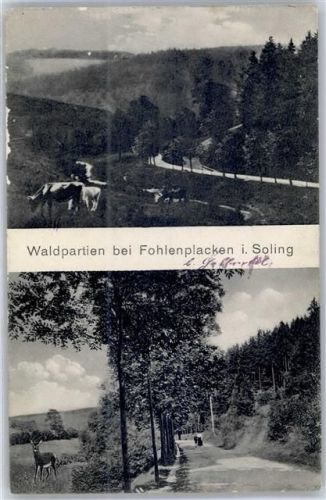 Fohlenplacken Waldpartien