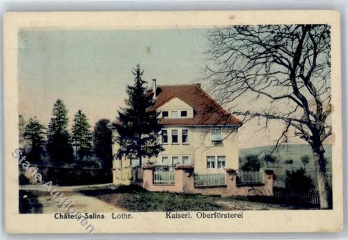 15200 Salins - Oberförsterei