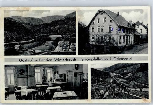 Strümpfelbrunn Gasthaus Winterhauch