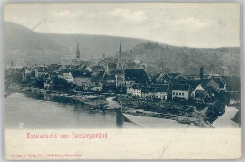 Neckargemünd 1901 Blick auf Neckargemünd