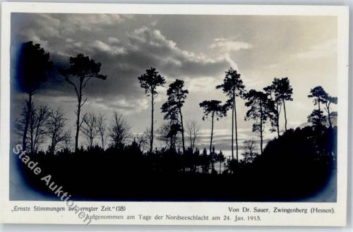 Zwingenberg Ernste Stimmung Dr. Sauer
