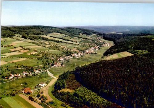 Wildensee Fliegeraufnahme