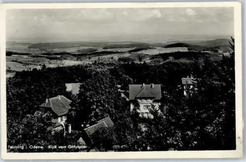 Felsberg Blick vom Ohlyturm