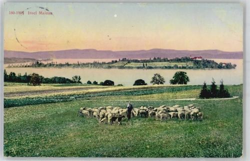 Insel Mainau 1911