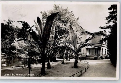 Lahr Partie im Stadtpark