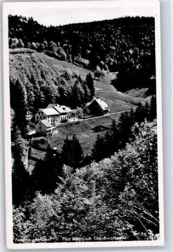 79669 W7863 Zell im Wiesental - Gasthaus Pension Zum Forsthof
